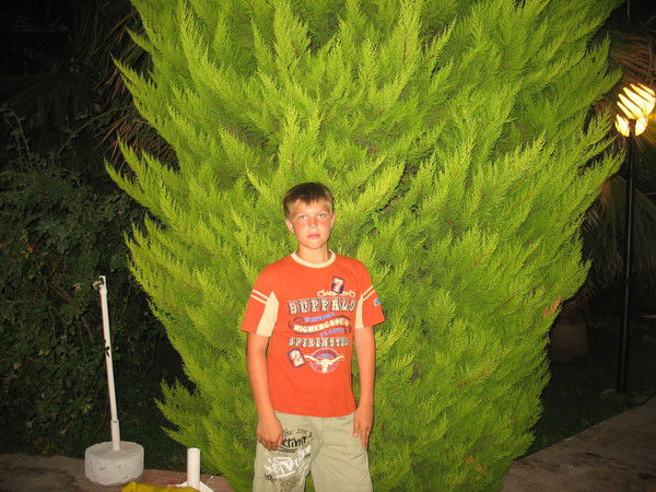 Алексей Пономаренко