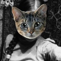 Эля Искендерова