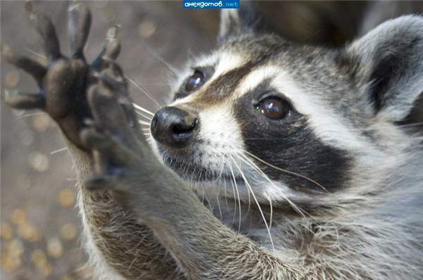 Сергей Кашин