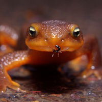 Виталий Иванов