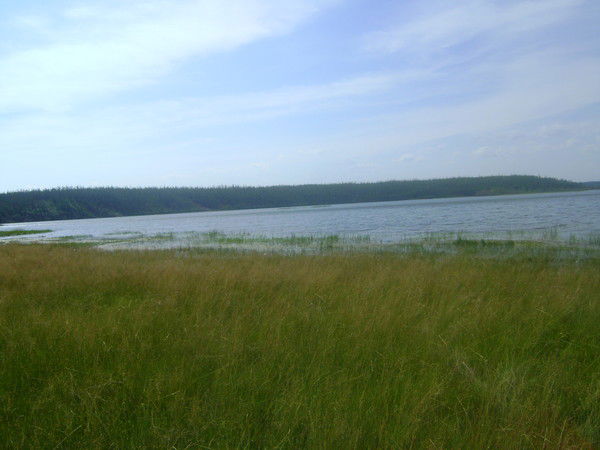 Эртаида Тарабукина