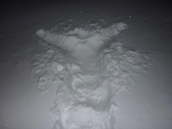 Татьяна Бондарева