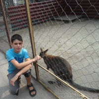 Дима Мамыгин