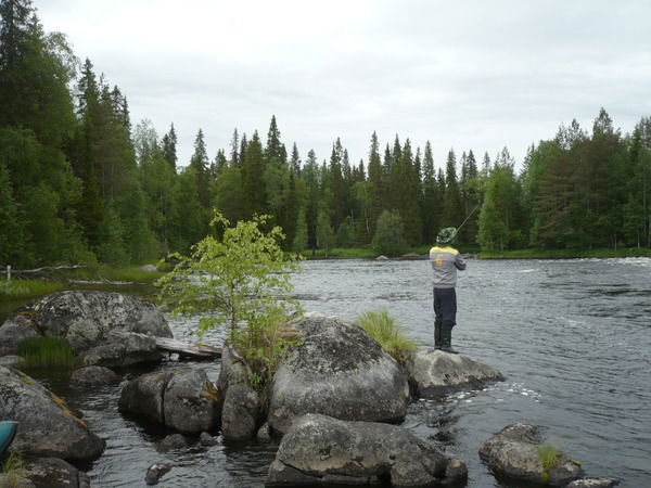 Сергей Ротонен