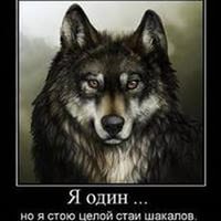 Игорь Мухин