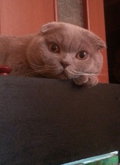 Екатерина Ермолова