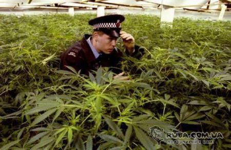 Игорь Еманов