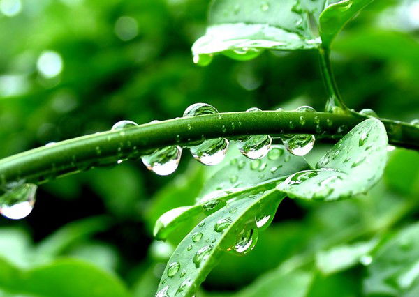 Мебель На Заказ Талдыкурган