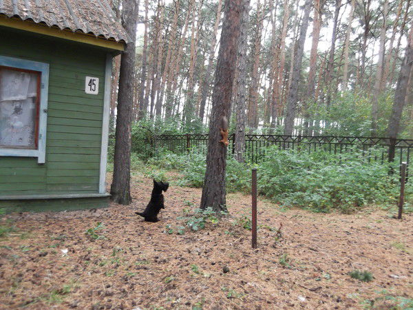 ***надежда*** Надежда