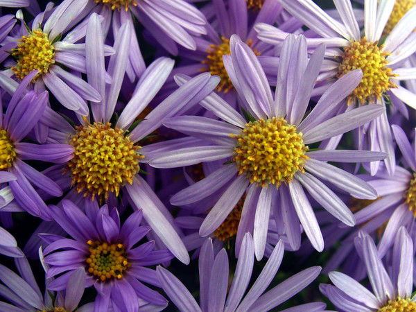 Виктория Сорокатюк