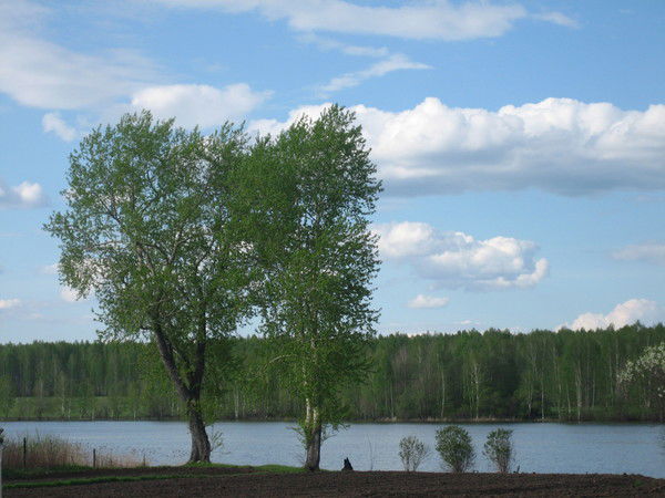 Айгуль Агзамова