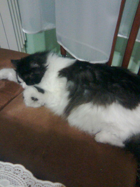 Надежда Кулак