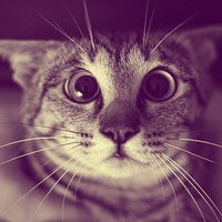 Дилия Азылова