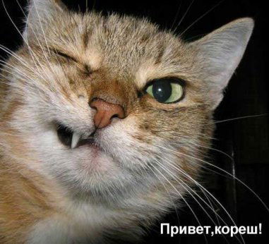 Ренат Мингалиев