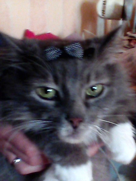 Ирина Артемьева