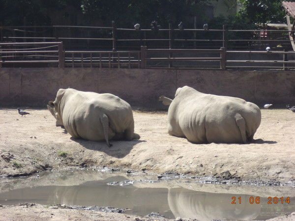 Валентина Кобелева