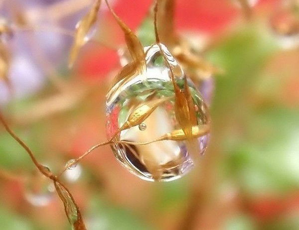 Анна Гадиева (Жданова