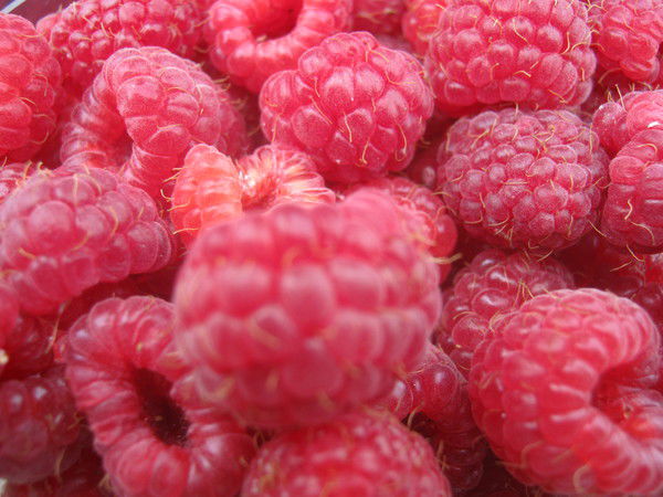 Марья Ланцкова