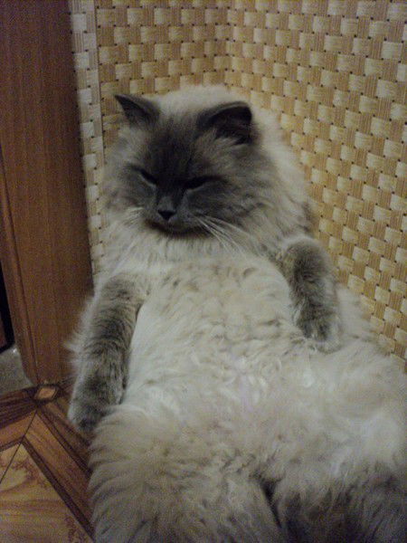 Виктория Сивожелезова