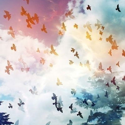 Яна Неганова