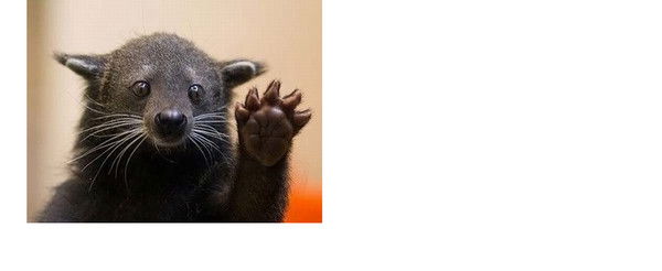 Андрей Синяков