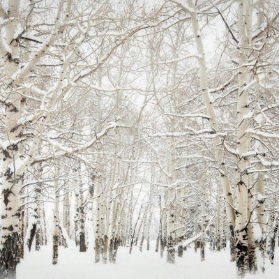 Зарина Адилханова