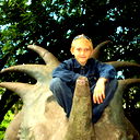 Алексей Морозов