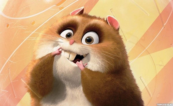 Константин Шохин