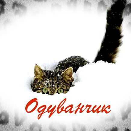 Габит Утягулов