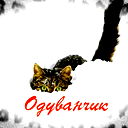 Габит Утягулов