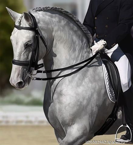 Бурхонидин Мурзакаримов