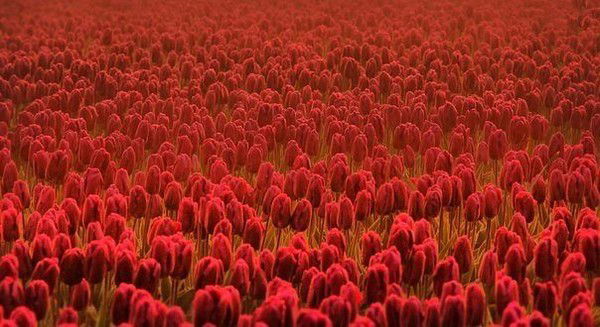 Марина Пономарева