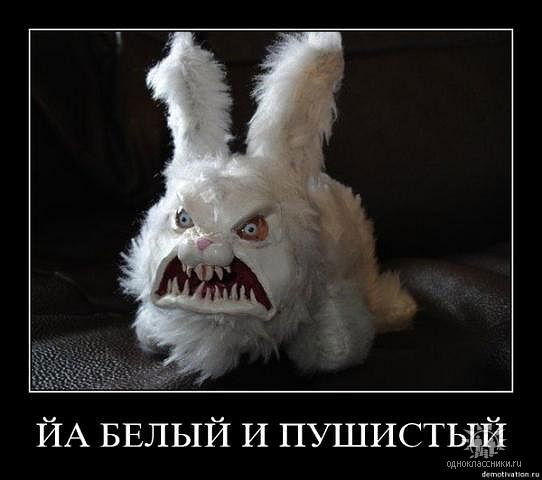 Павел (К) (К)