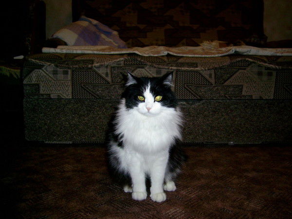 Виталий Рыбалов