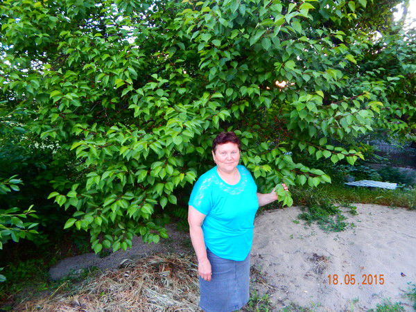 Галина Панина-Дьяченко