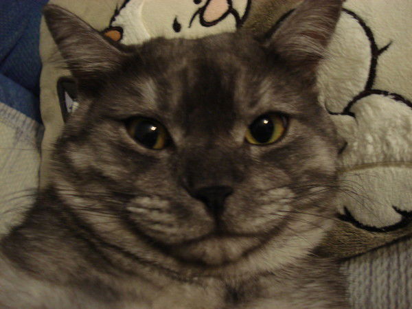 Роман Луговой