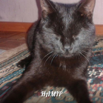 Ерназар Калдыбай