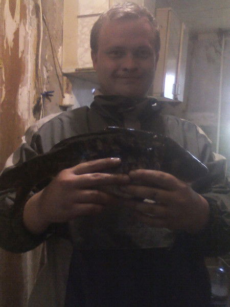 Aндрeй Cвиpидoв