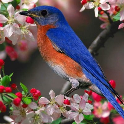 Люба Григорьева