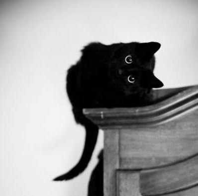 Лана Толоконникова