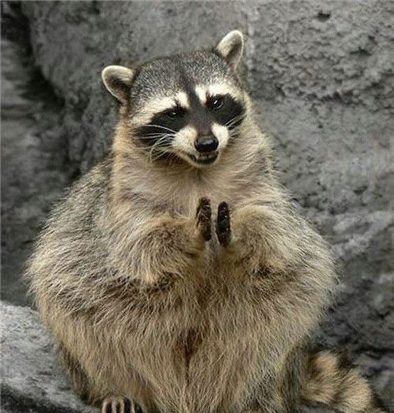 Дима Мальшин