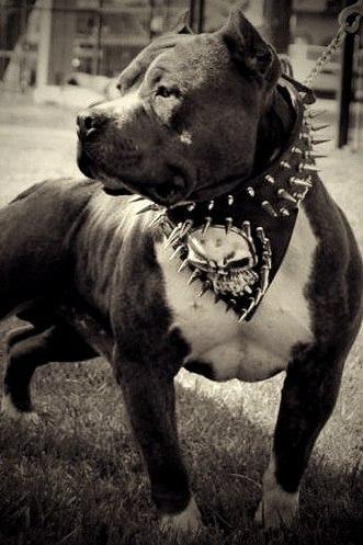 Иван Бычков