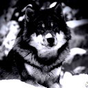 Валентин Тюгашев