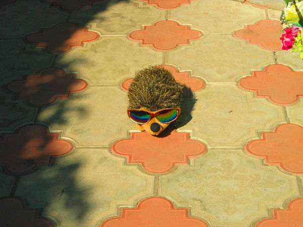 Анна Курилкина