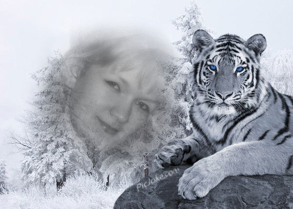 Светлана Краснова