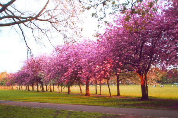 Исатай Орынбасаров