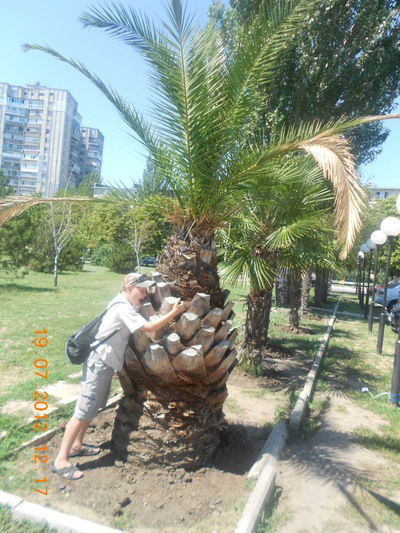 Валера Моторин