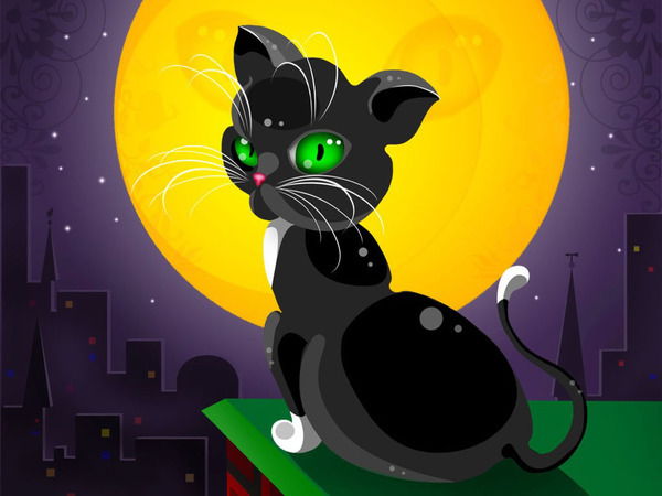 Елена Широкова