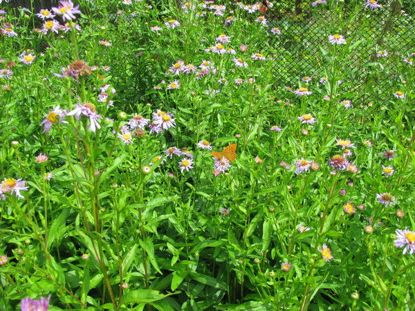 Дмитрий Гусаков