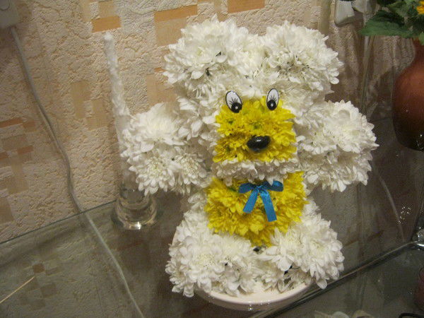 Александр Шпаков